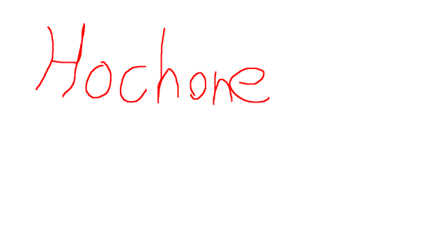 Hochone Logo