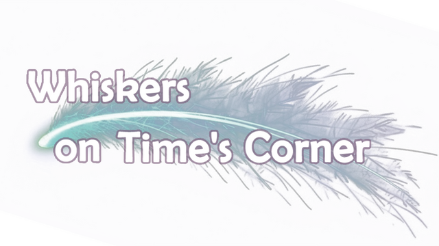 Whiskers on Time's Corner Logo