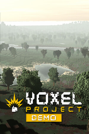Voxel Project VR Demo