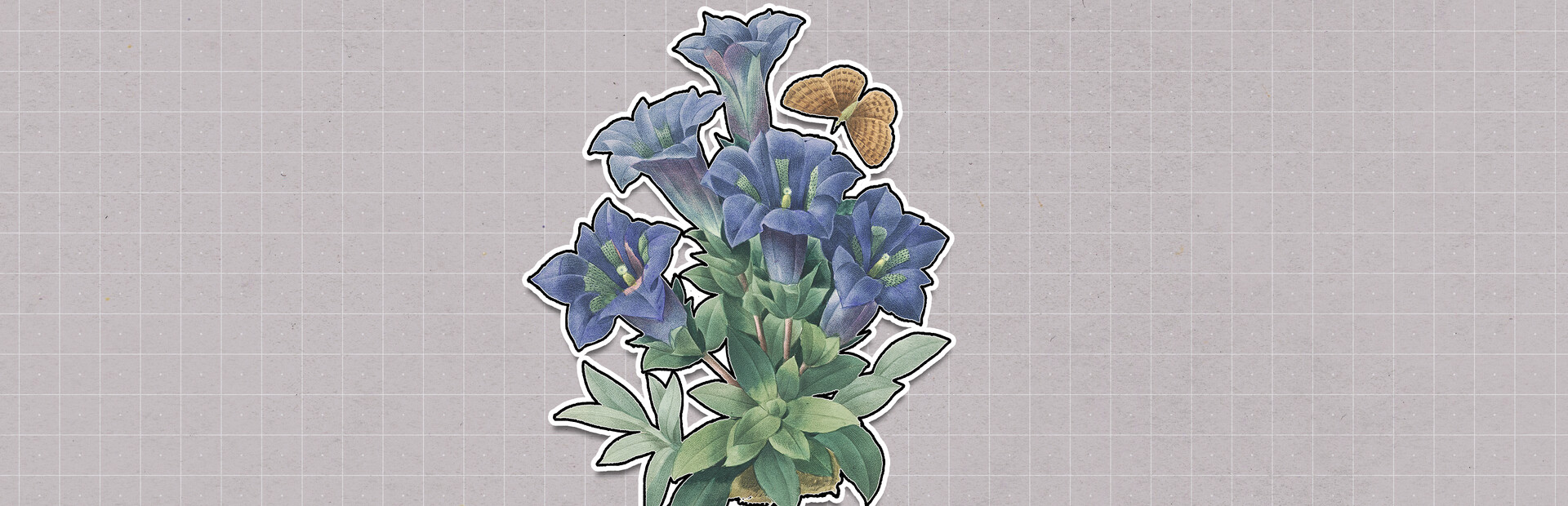 Plants Huddled Together