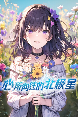 心所向往的北极星 测试版