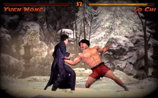 Скриншот из Kings of Kung Fu