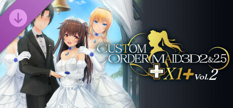 CUSTOM ORDER MAID 3D2&2.5+ X1+Vol.02 cover art