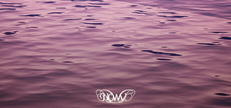 NOWV cover art