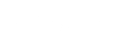 Ceiling Run Logo