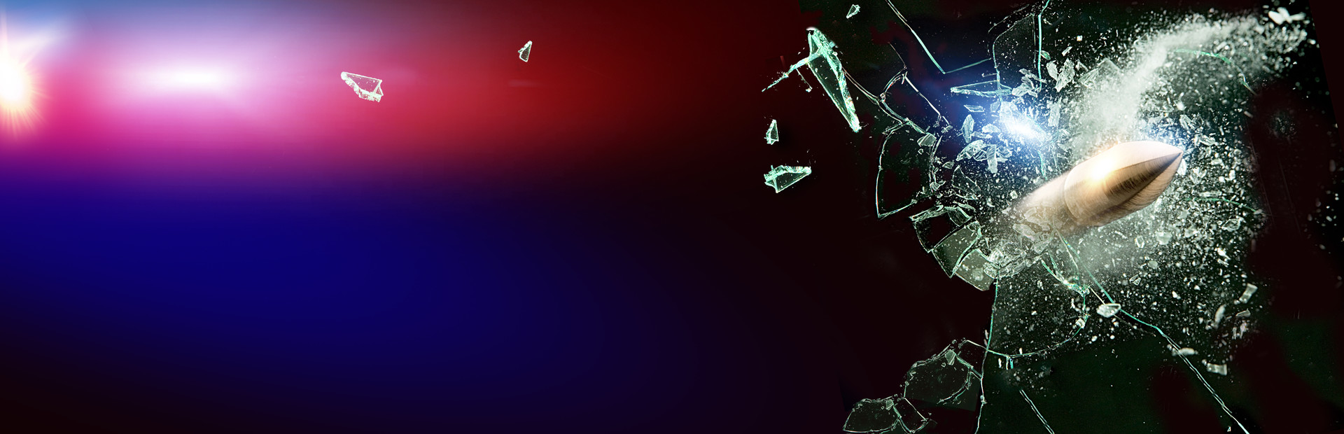 Enforcer: Police Crime Action