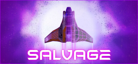 Salvage cover art