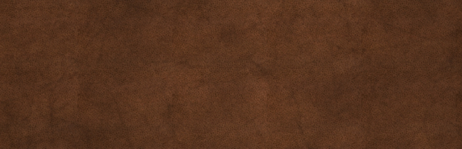 Gold Rush! Anniversary