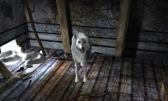 Скриншот из Nancy Drew: The White Wolf of Icicle Creek