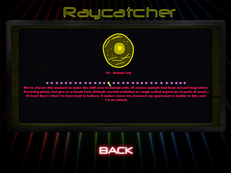 Raycatcher requirements