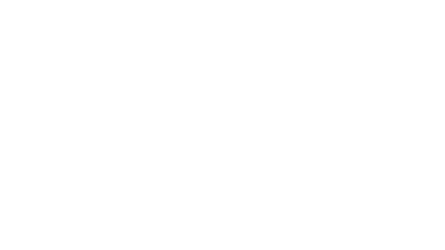 Initial Delivery Logo