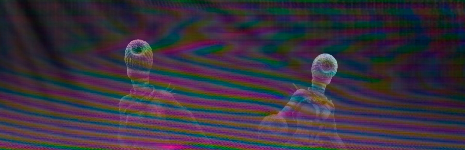 Sucker head: Bodycam