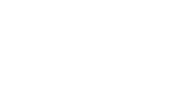 Lost in the Mirrors Logo