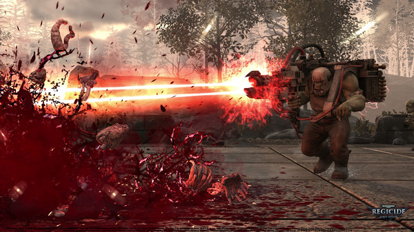 Скриншот из Warhammer 40,000: Regicide