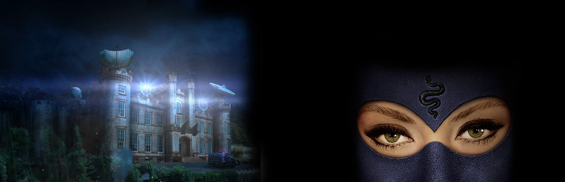 Black Viper: Sophia's Fate