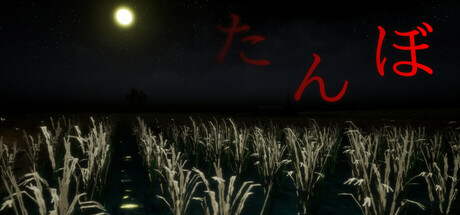 The Paddy Field cover art