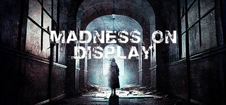 Madness on Display cover art