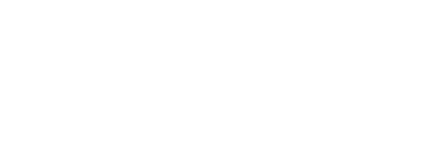 NanoCatastrophe Logo