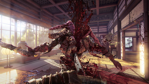 Shadow Warrior 2 requirements