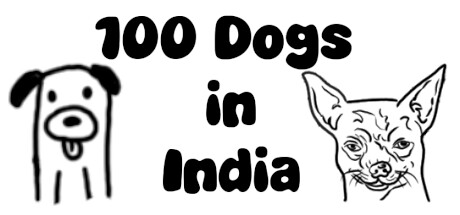 Can I Run 100 Dogs in India?