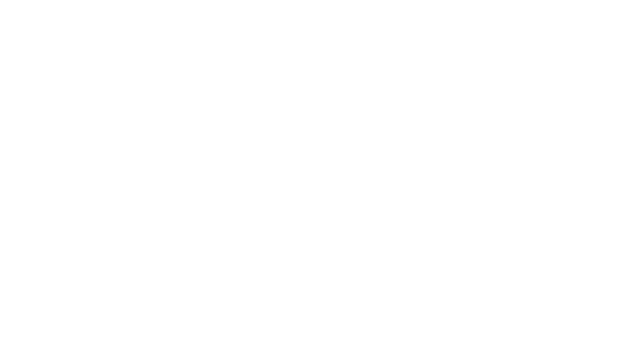 Soli-tair-ror Logo