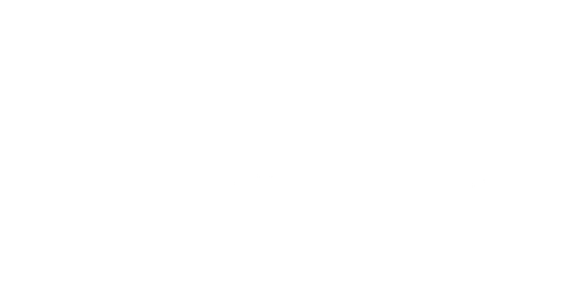 THE WALLWAY Logo