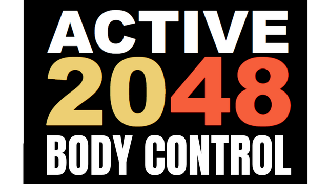 Active 2048 Body Control Logo
