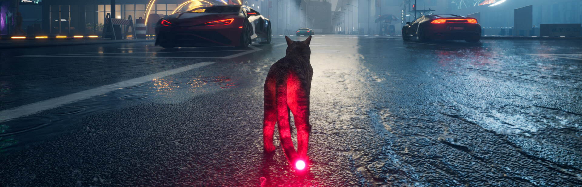 猫咪漂移 Cat Drift