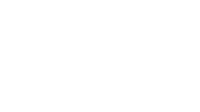 Niva Logo
