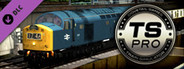 Train Simulator: BR Class 40 '40145' Loco Add-On