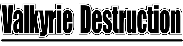 Valkyrie Destruction Logo