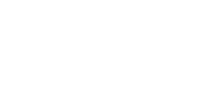 Birdigo - bird word game Logo