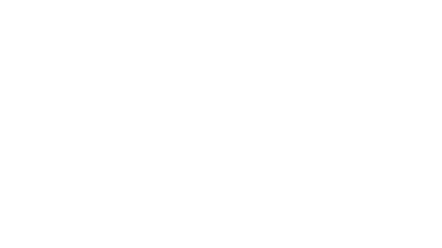 IT Specialist Simulator Logo