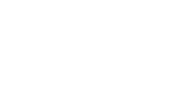 Mercator Logo