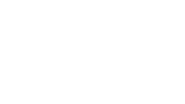 Alone in the house Logo