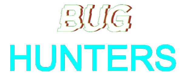 Bug Hunters Logo