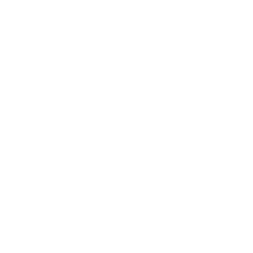Life Before Death Logo