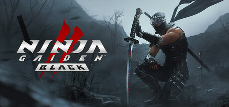 NINJA GAIDEN 2 Black PC Specs