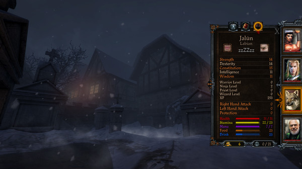 Dungeon Kingdom: Sign of the Moon for linux