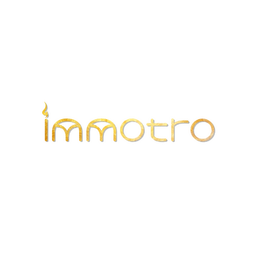 Immotro Logo