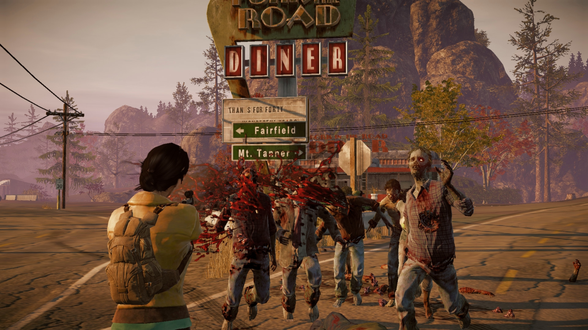 State of Decay System Requirements