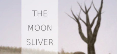 The Moon Sliver cover art