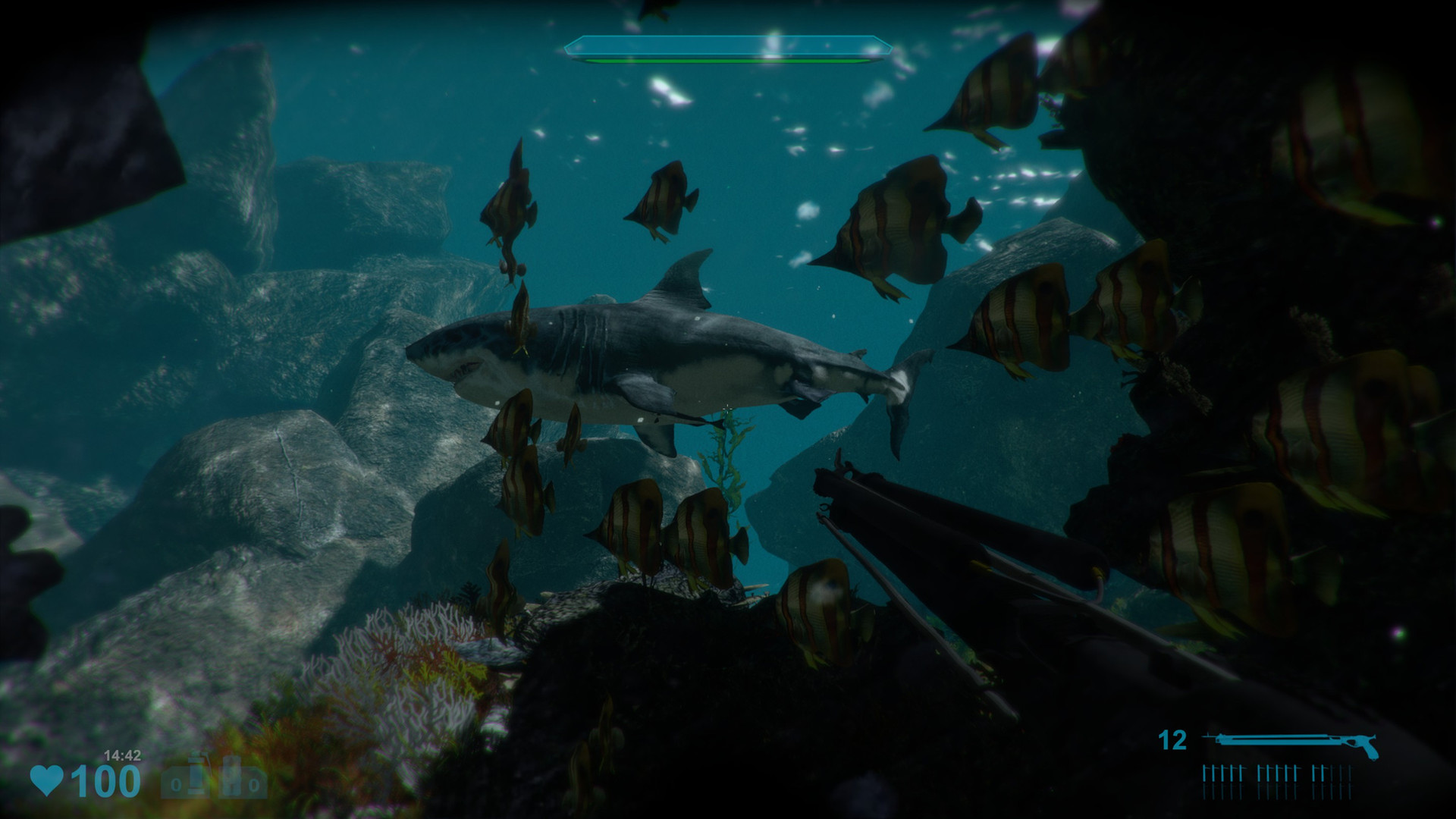 Shark Attack Deathmatch