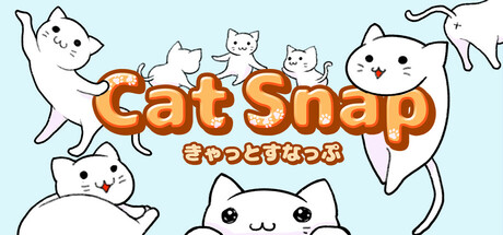 CatSnap cover art