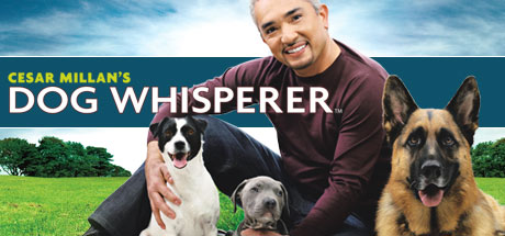 Cesar Millan's Dog Whisperer cover art