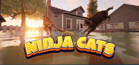 Ninja Cats cover art