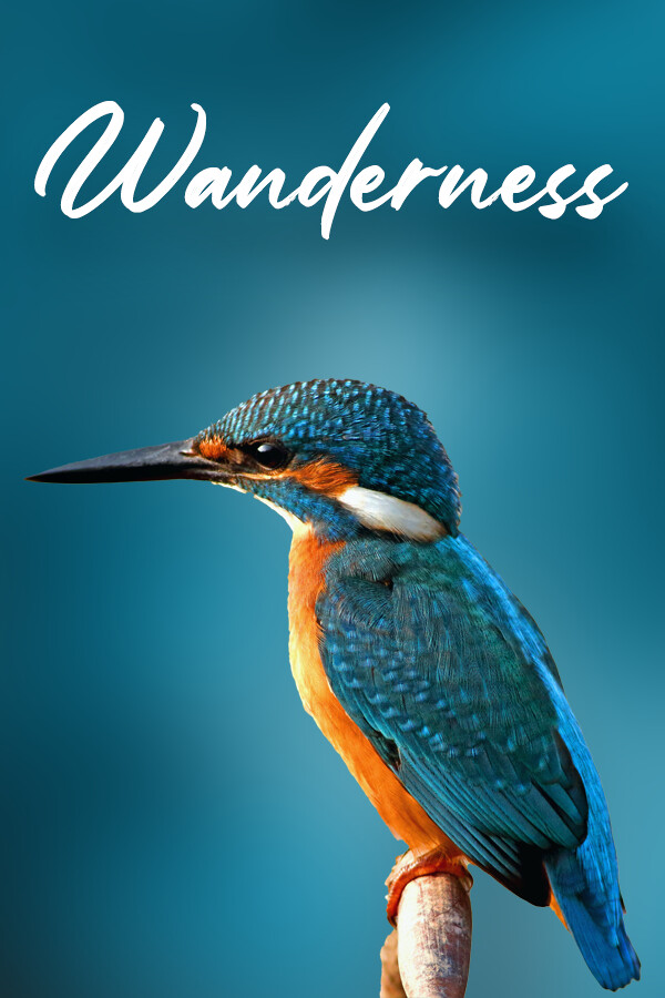 Steam portrait for Wanderness.