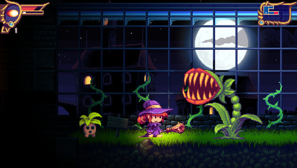 Mystik Bellefor windows and Linux 1