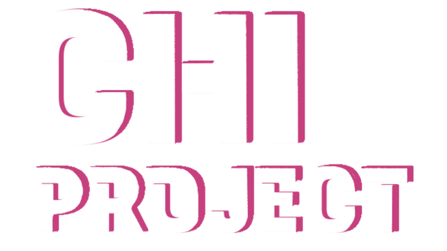 CHI Project Logo