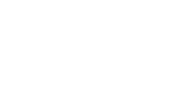 Flash Doll Logo
